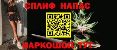 шишки Славгород