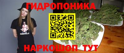 шишки Славгород