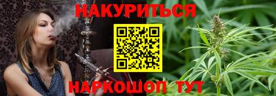 шишки Славгород
