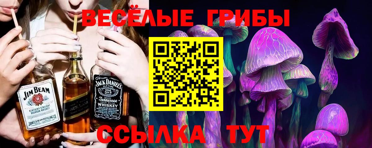 Псилоцибиновые грибы Psilocybe  Вход с VPN  Партизанск 